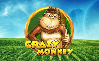 Crazy Monkey