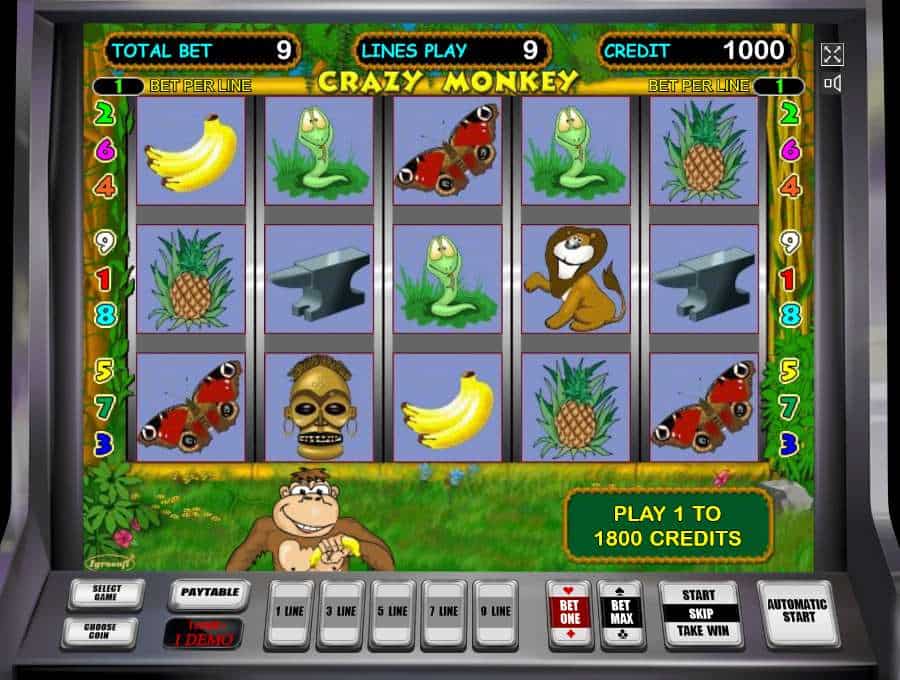 Crazy monkey на деньги crazy monkey slot. Игровой автомат Crazy Monkey. Играть в Crazy Monkey на деньги.